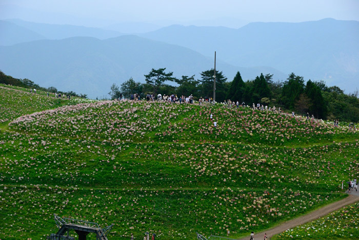 f0108478_14532153.jpg