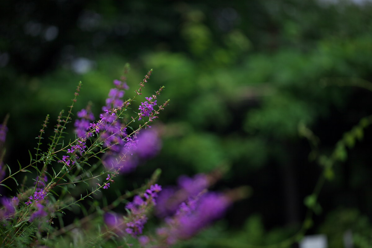 a0083081_20381093.jpg