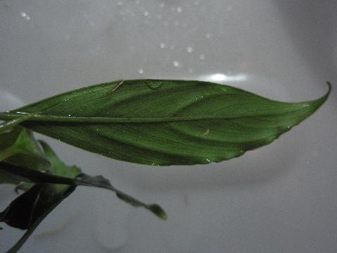 a0194582_21441473.jpg