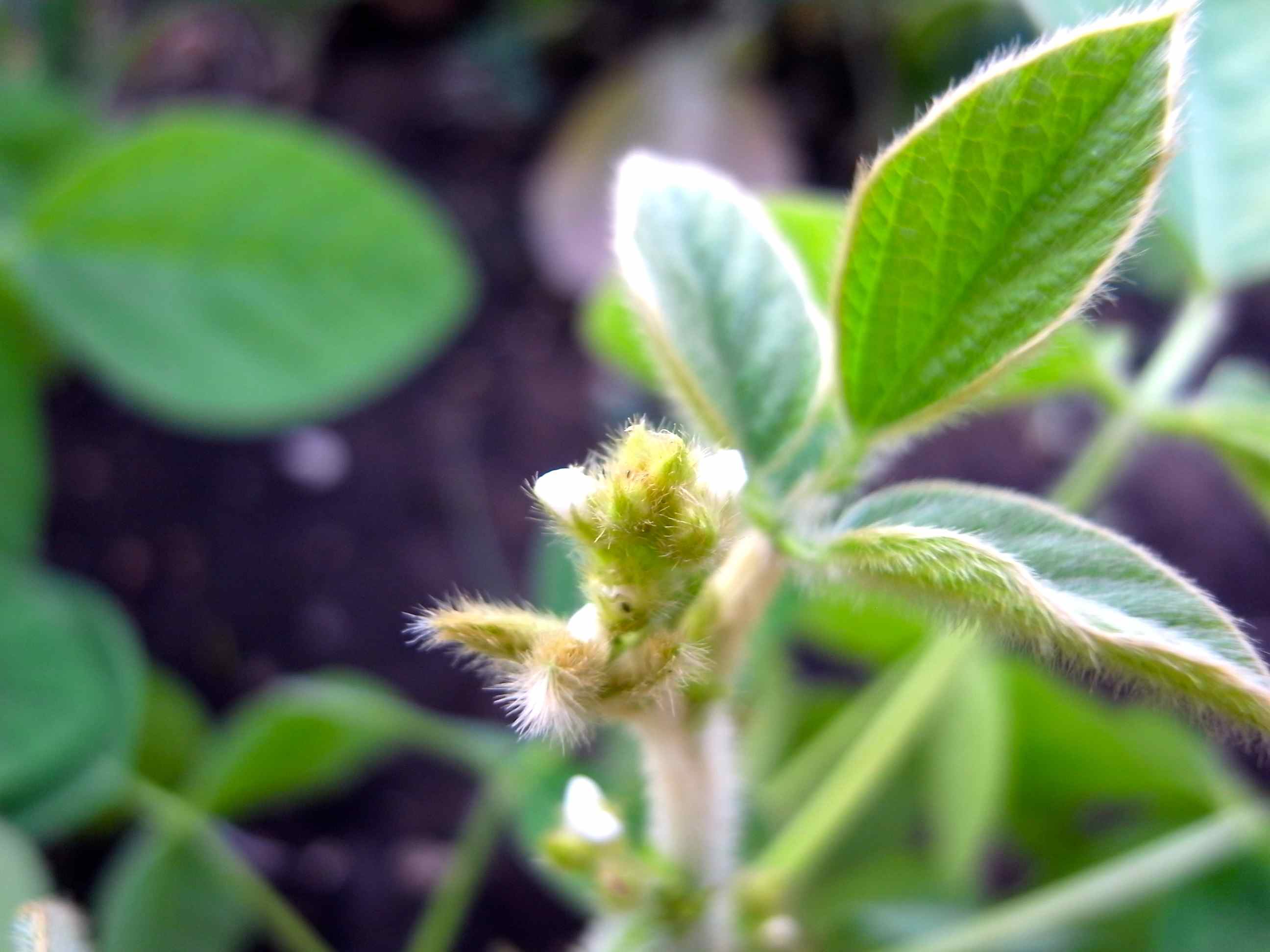 d0170682_1424659.jpg