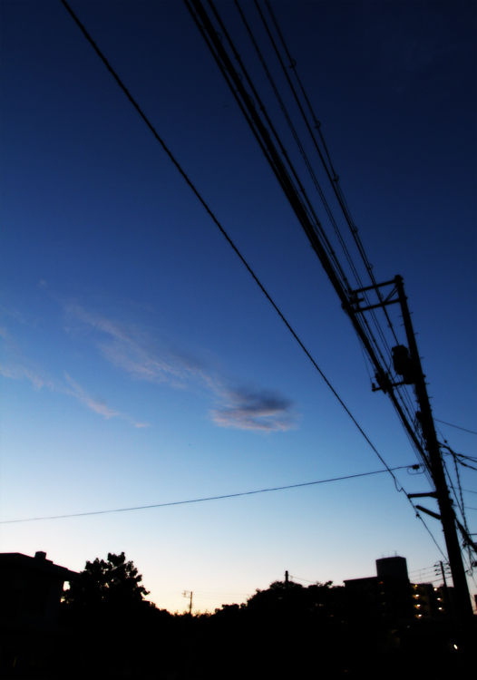 b0182984_1384133.jpg