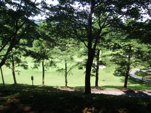 d0034291_1610146.jpg