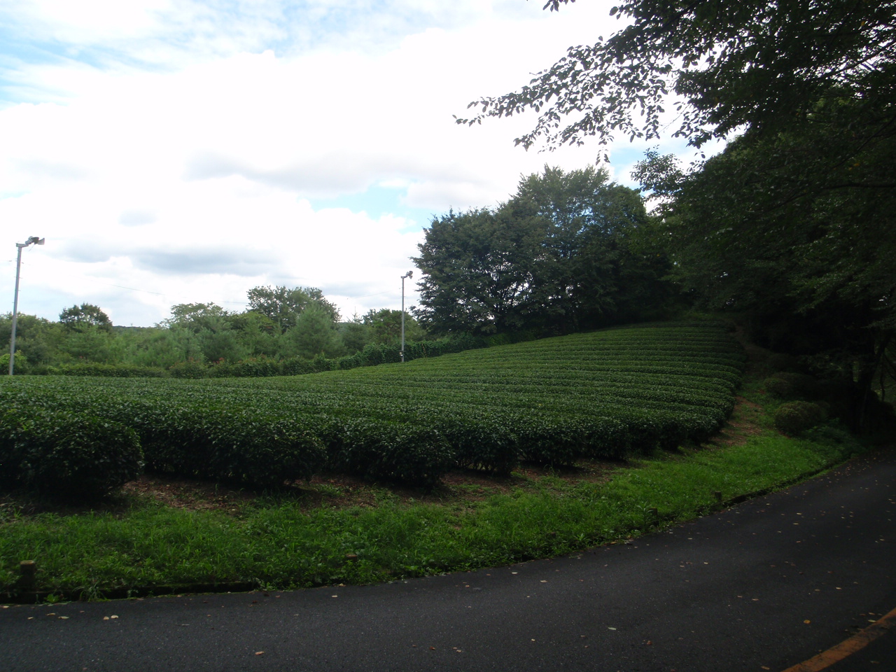 d0034291_16131549.jpg