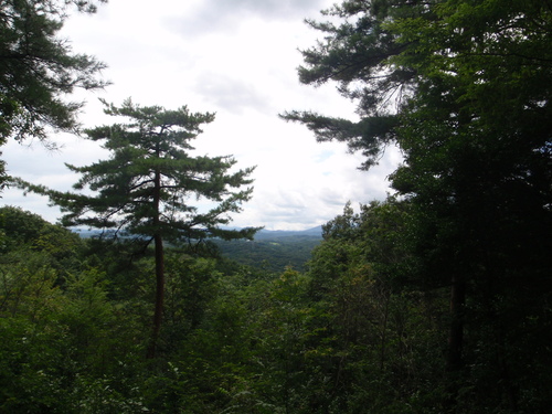 d0034291_16234875.jpg