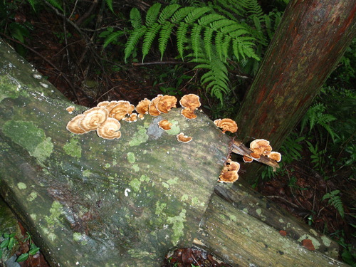d0034291_16244447.jpg