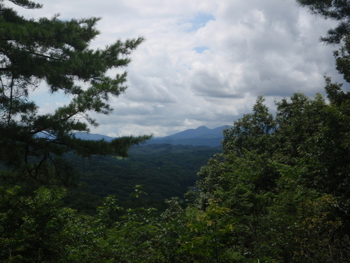d0034291_1624753.jpg