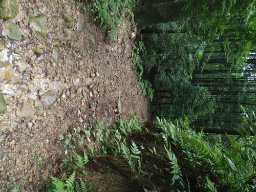 d0034291_16252069.jpg