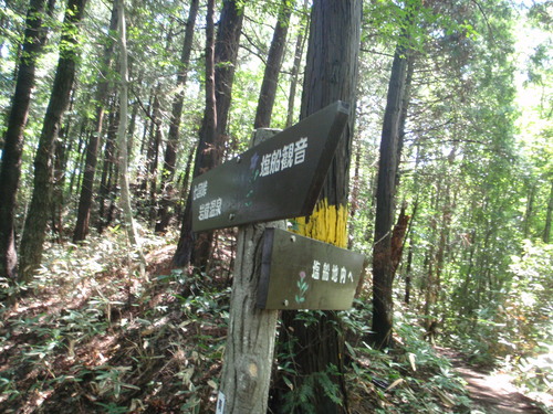 d0034291_1684356.jpg