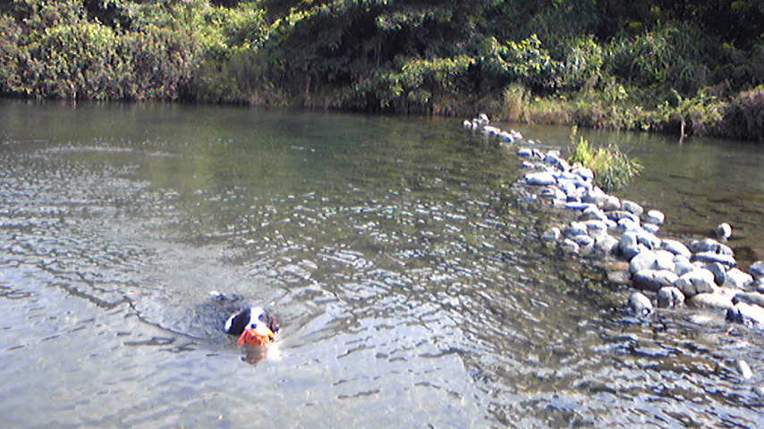 f0034602_21405767.jpg