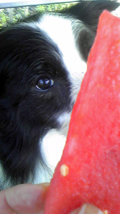 f0034602_2142660.jpg