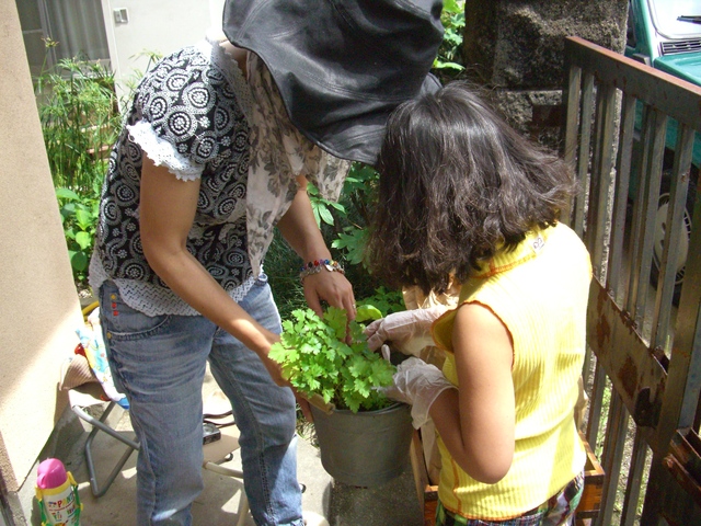 d0165505_19583757.jpg