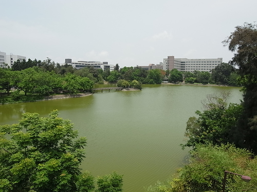 b0207606_21143155.jpg