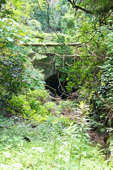 f0217507_21273471.jpg