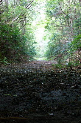 f0217507_21314913.jpg