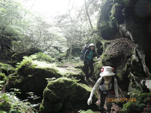 d0006512_16284647.jpg