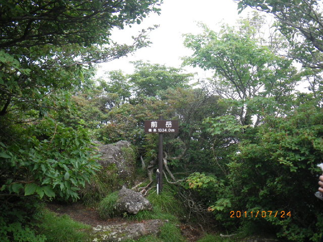 d0006512_1631648.jpg