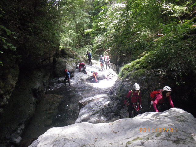 d0006512_17273092.jpg