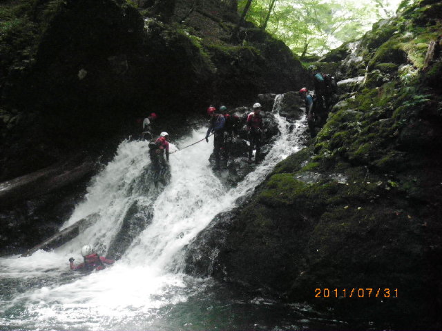 d0006512_1728439.jpg