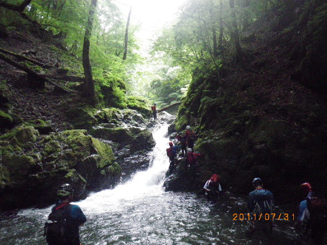 d0006512_1728684.jpg
