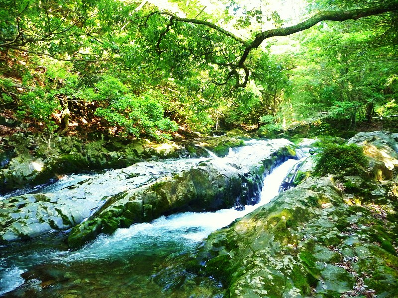 f0182513_2027344.jpg