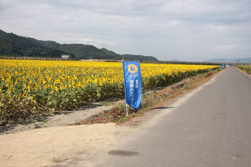 d0102529_14471774.jpg