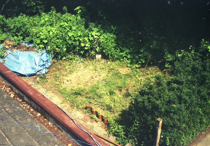 d0089742_0245079.jpg