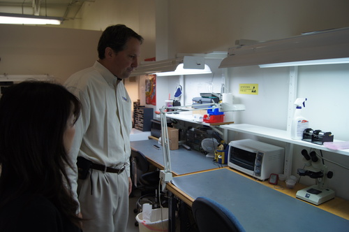 c0132048_2314496.jpg