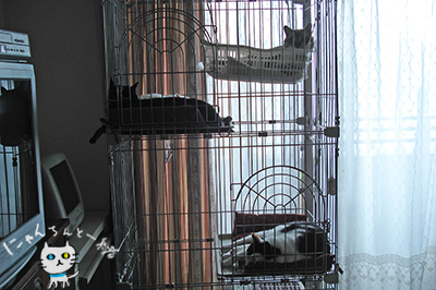 e0031853_041405.jpg