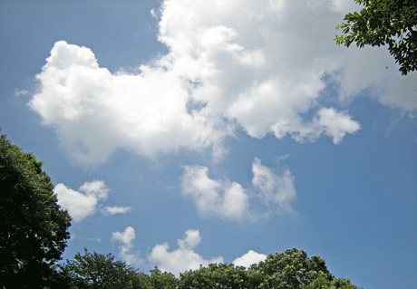 a0001354_2275761.gif