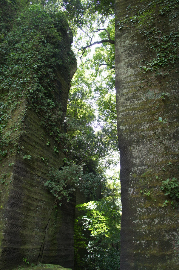 a0147057_2312584.jpg