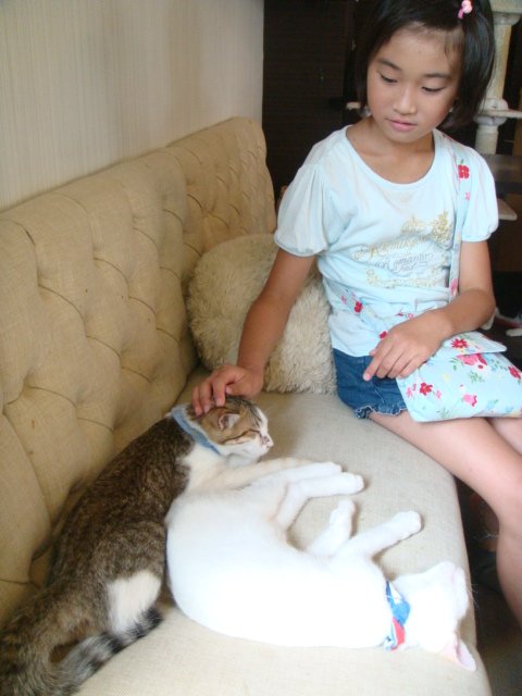 c0074157_0121678.jpg