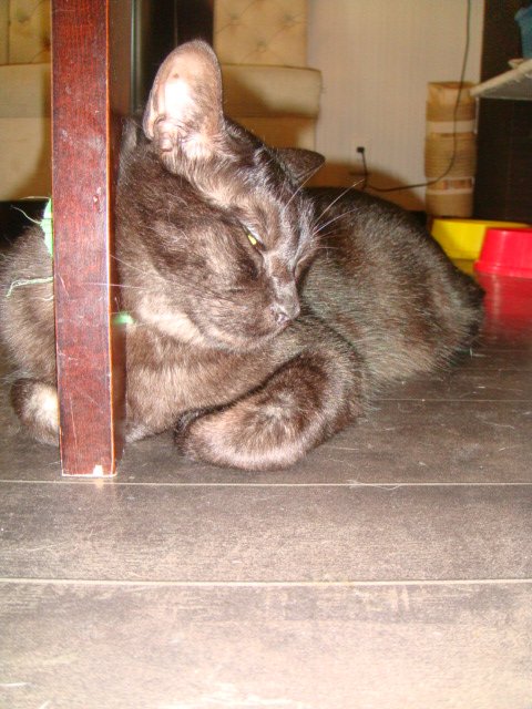 c0074157_093195.jpg