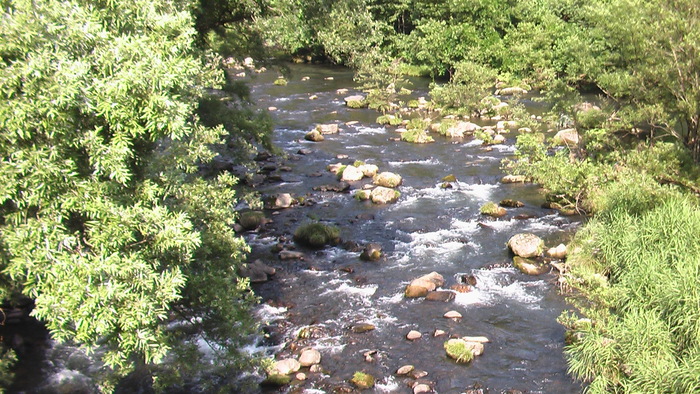 b0208961_2311183.jpg