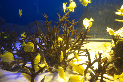 c0071763_1244764.jpg