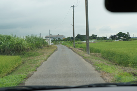 e0223965_136784.jpg