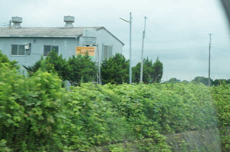 e0223965_1371184.jpg
