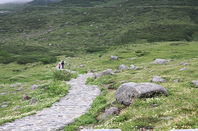 f0052068_2294767.jpg