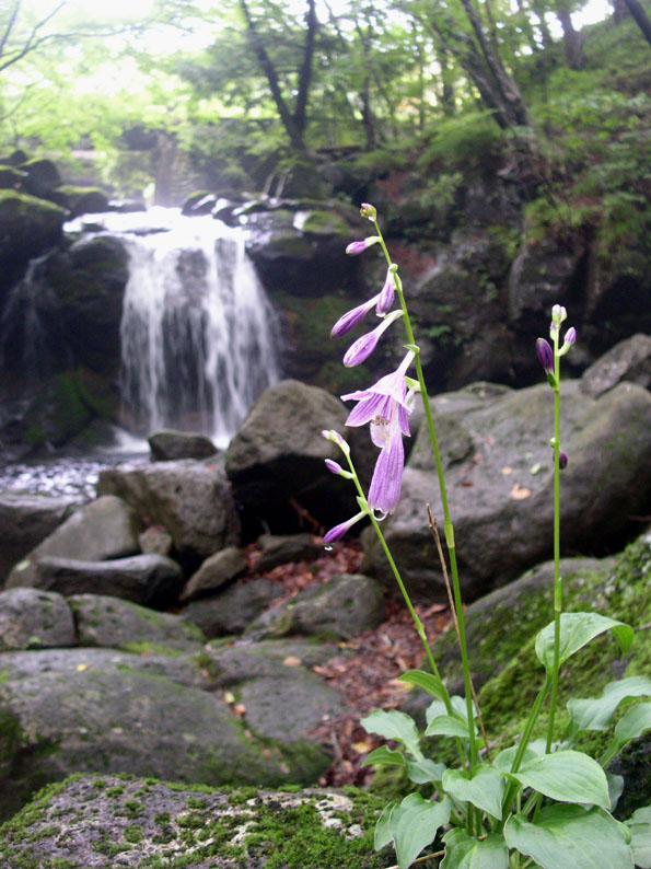 e0118274_20114933.jpg