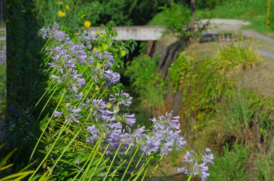 a0142976_15565897.jpg