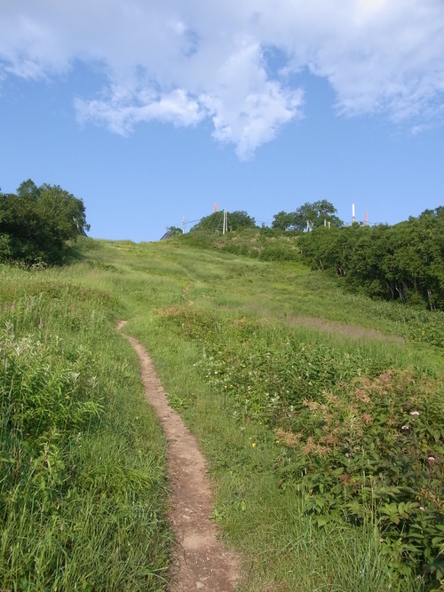 f0130376_928483.jpg