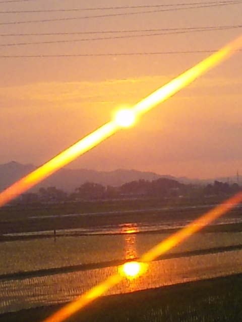 a0152078_19215428.jpg