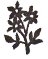 c0228578_18221972.gif