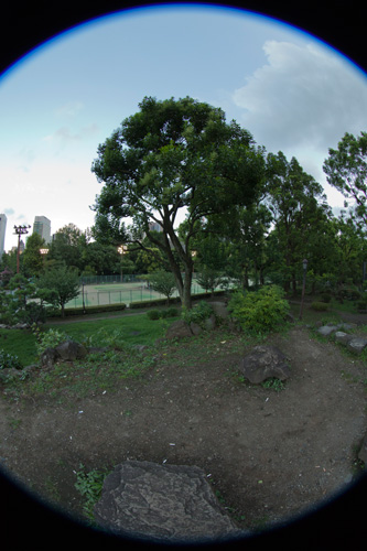 d0089281_8115367.jpg