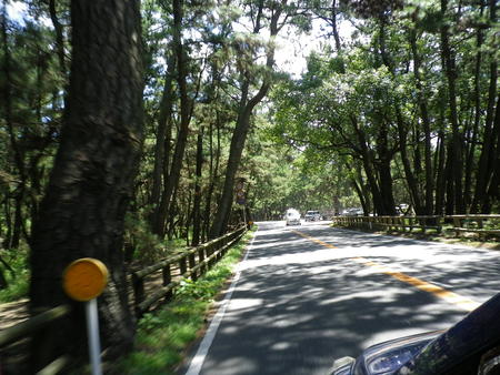 d0174683_1359660.jpg