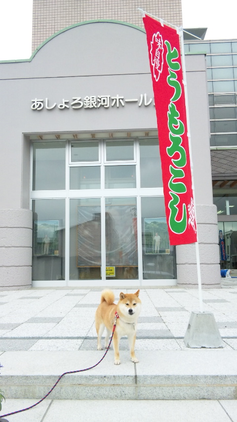 a0126590_9434135.jpg