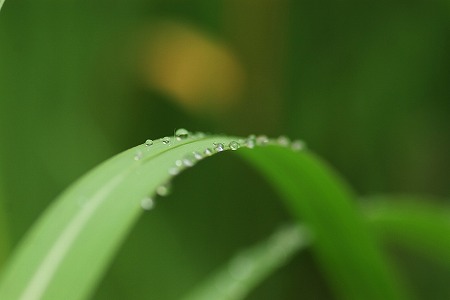 d0179594_13305531.jpg