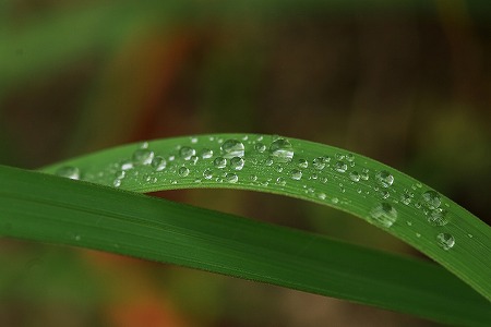 d0179594_13321587.jpg