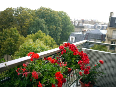 c0090198_6402375.jpg
