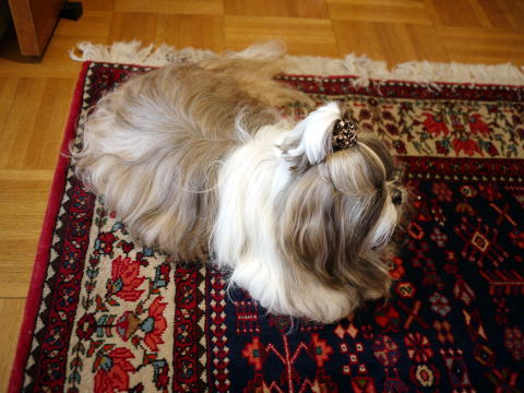 c0090198_6411586.jpg