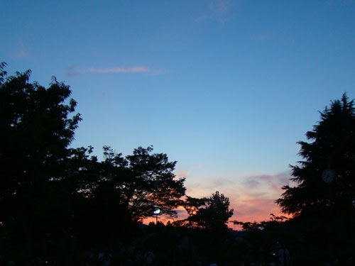 a0047200_22504872.jpg